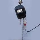 2019 Latest Best Selling Professional Strong Steel Material 1 Ton Hoist